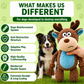 Plushies – Designed for Furry Friends Who Destroy Everything