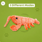 Paw-Friends™- Floppy Lobster