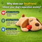Paw-Friends™-Soulfriend