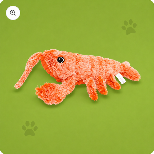 Paw-Friends™- Floppy Lobster