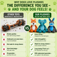 Plushies – Designed for Furry Friends Who Destroy Everything