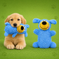 Paw-Friends™-Zahnbuddy
