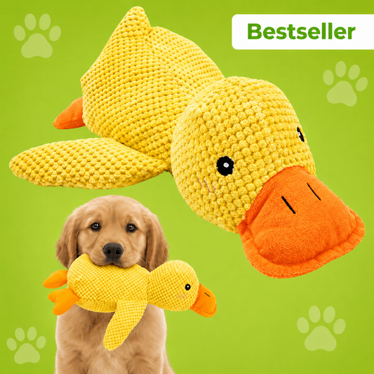 Paw-Friends™-Anti-Stress Duck – The Bestseller