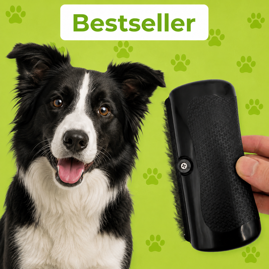 Paw-Friends™-Fellwunder Brush – The Bestseller