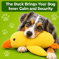 Paw-Friends™-Anti-Stress Duck – The Bestseller