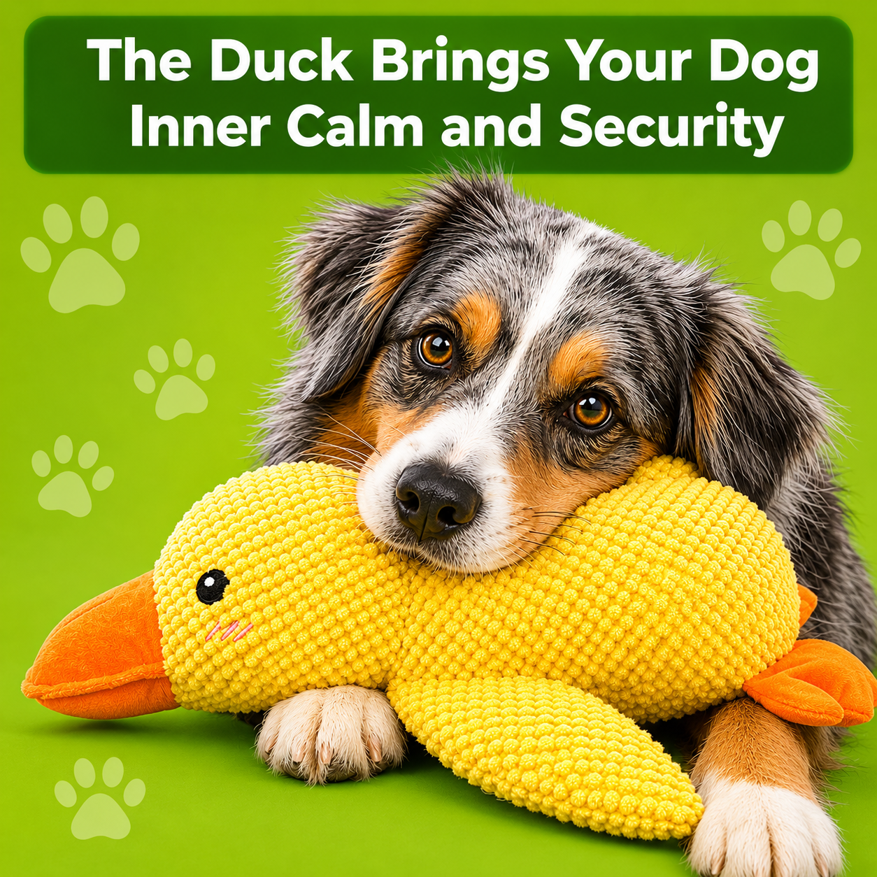 Paw-Friends™-Anti-Stress Duck – The Bestseller