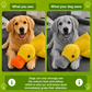 Paw-Friends™-Anti-Stress Duck – The Bestseller