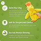 Paw-Friends™-Anti-Stress Duck – The Bestseller