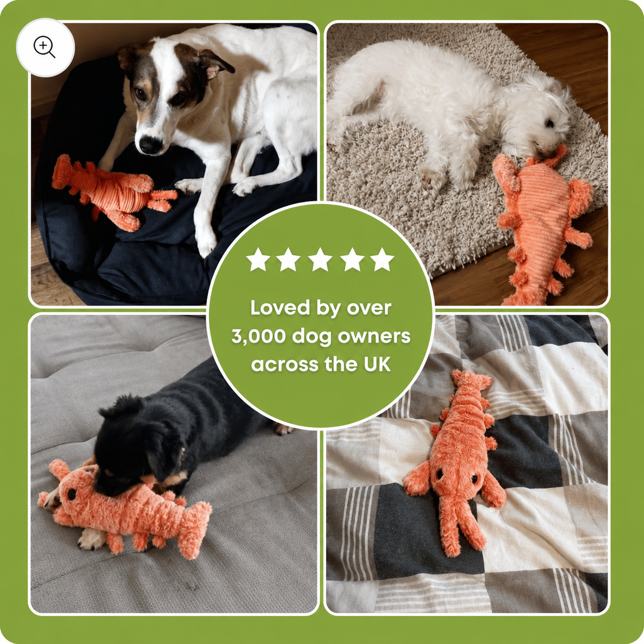 Paw-Friends™- Floppy Lobster