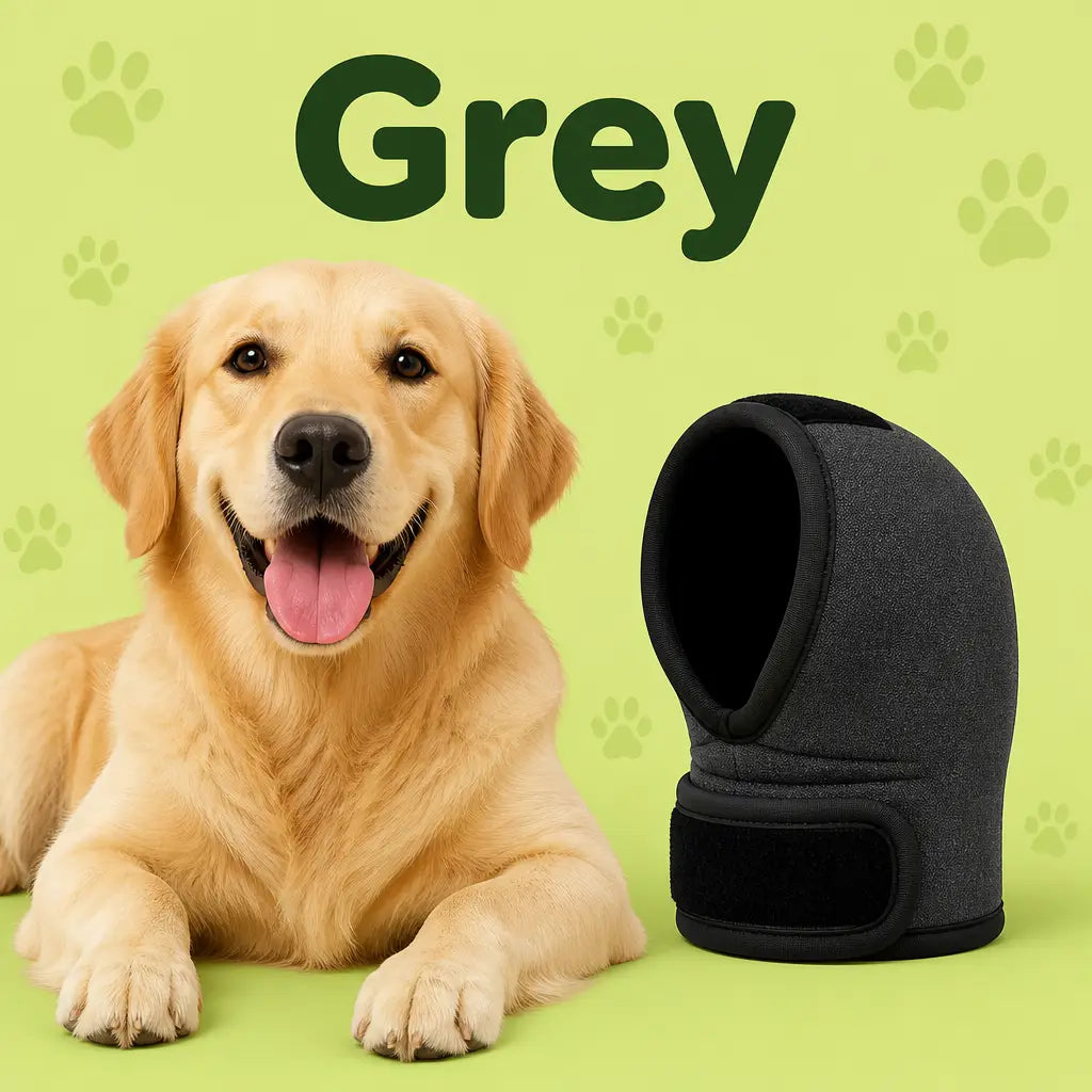 CalmHood™ — Calms Your Dog in Seconds