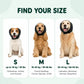 CalmHood™ — Calms Your Dog in Seconds