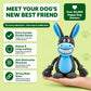 Plushies – Designed for Furry Friends Who Destroy Everything
